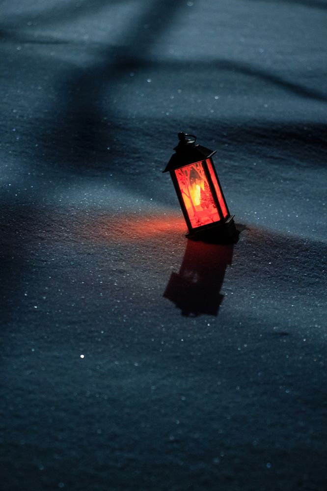 Photograph by Екатерина Василенко