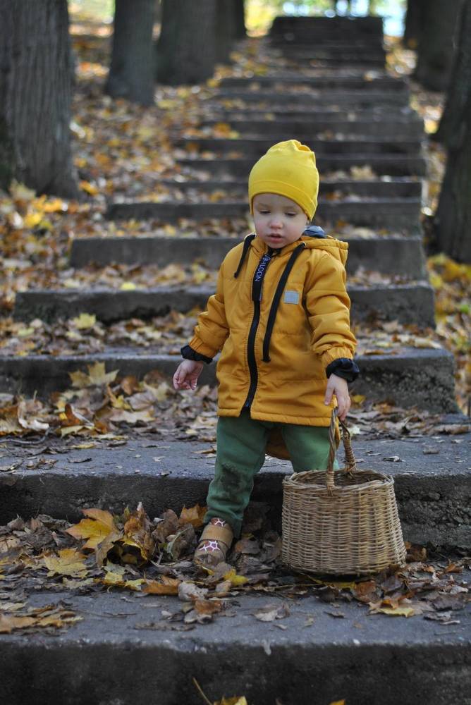 Осенние радости