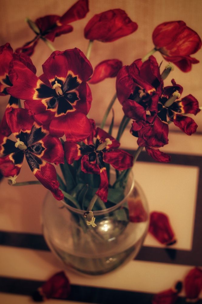 Фотография автора Екатерина Устинкина