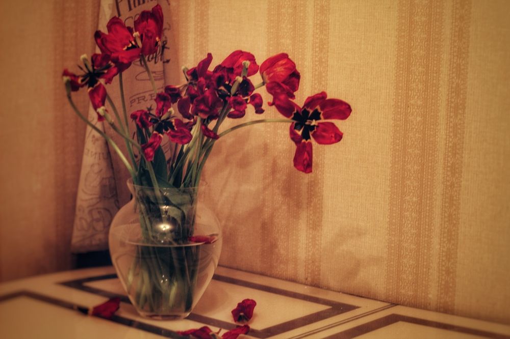 Фотография автора Екатерина Устинкина