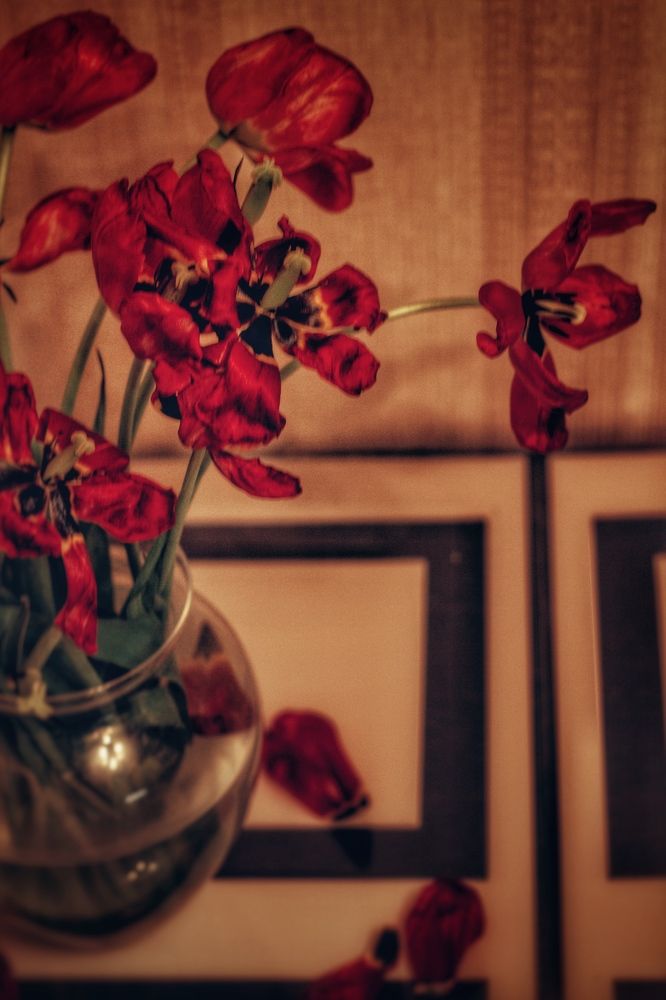 Фотография автора Екатерина Устинкина