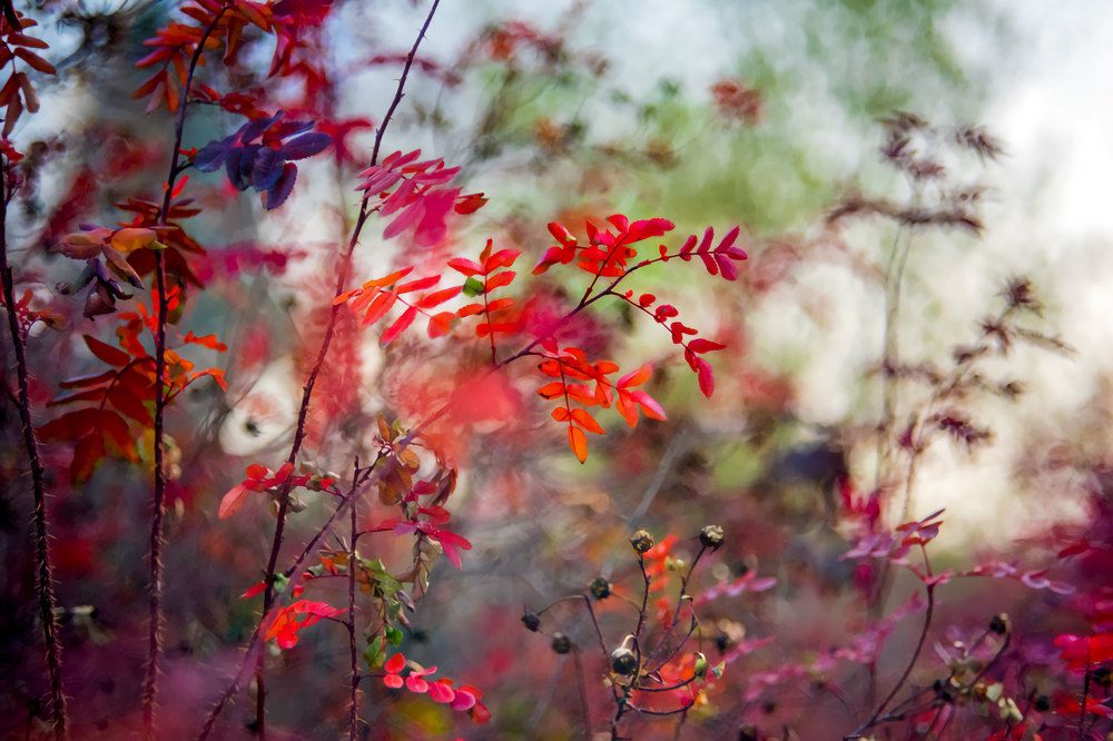 Photograph by Сергей Киселев