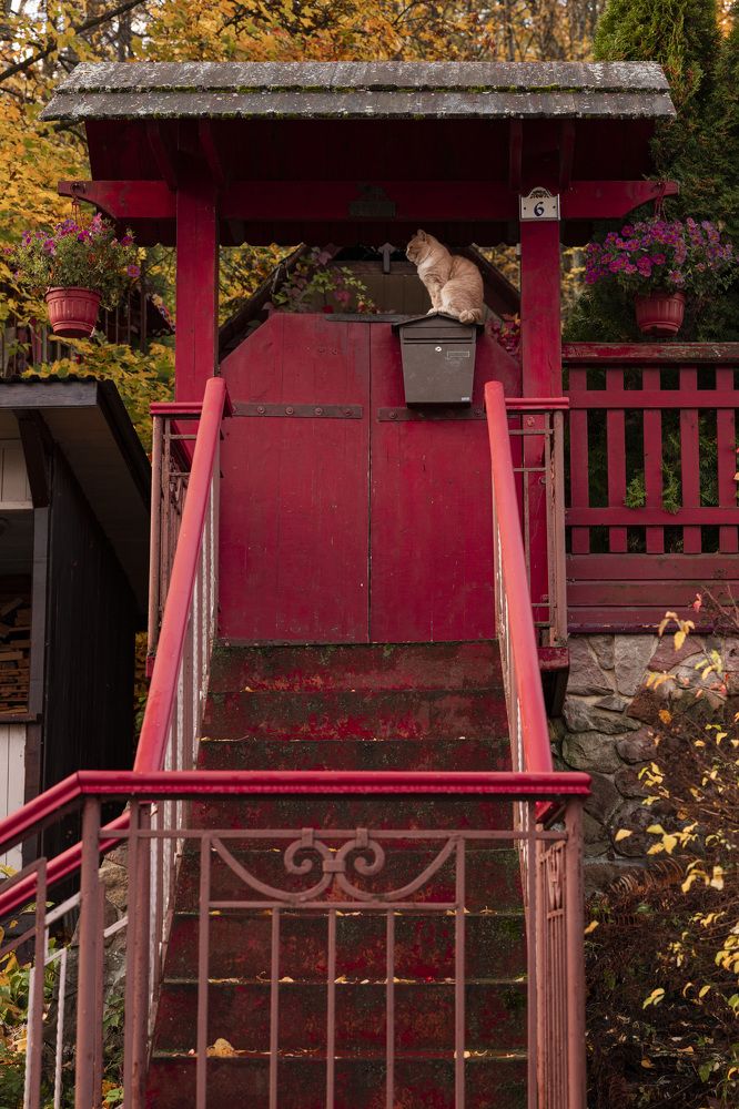 Photograph by Илья Пономарев