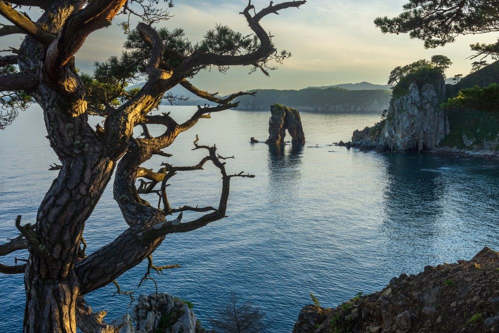 Фотография автора Олег Матроницкий