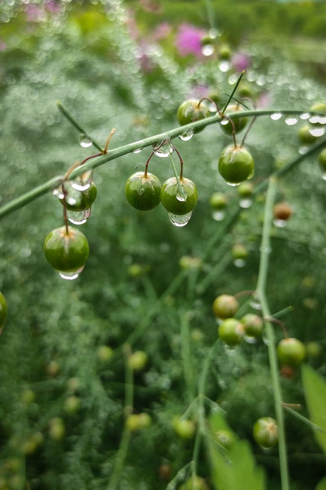 Photograph by Екатерина Василенко