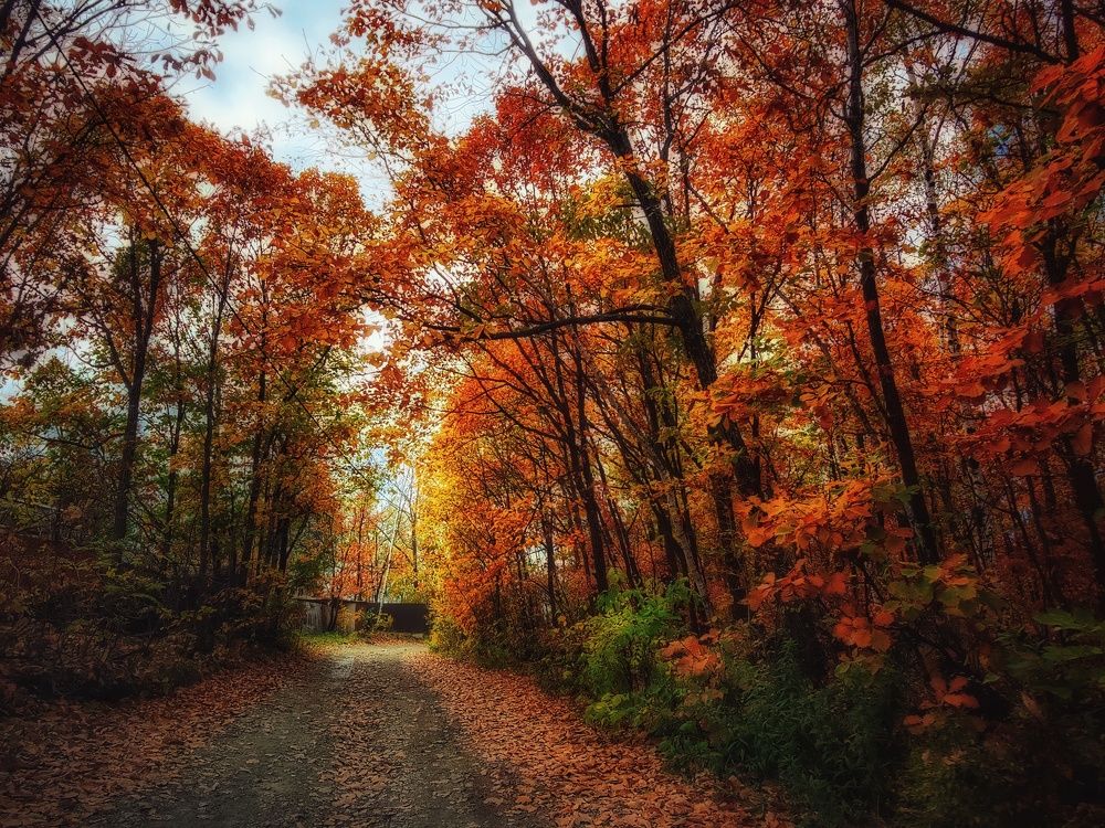 Photograph by Сергей Колесниченко