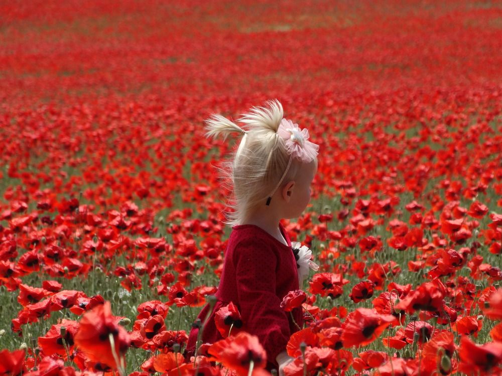 Photograph by Расшивина Дарья