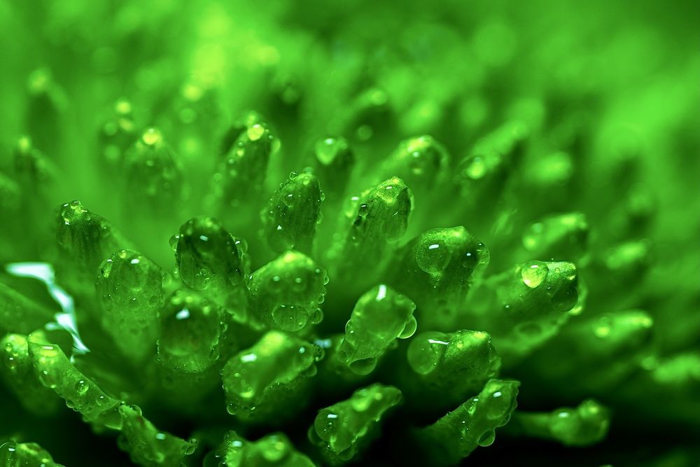 Фотография автора Helena