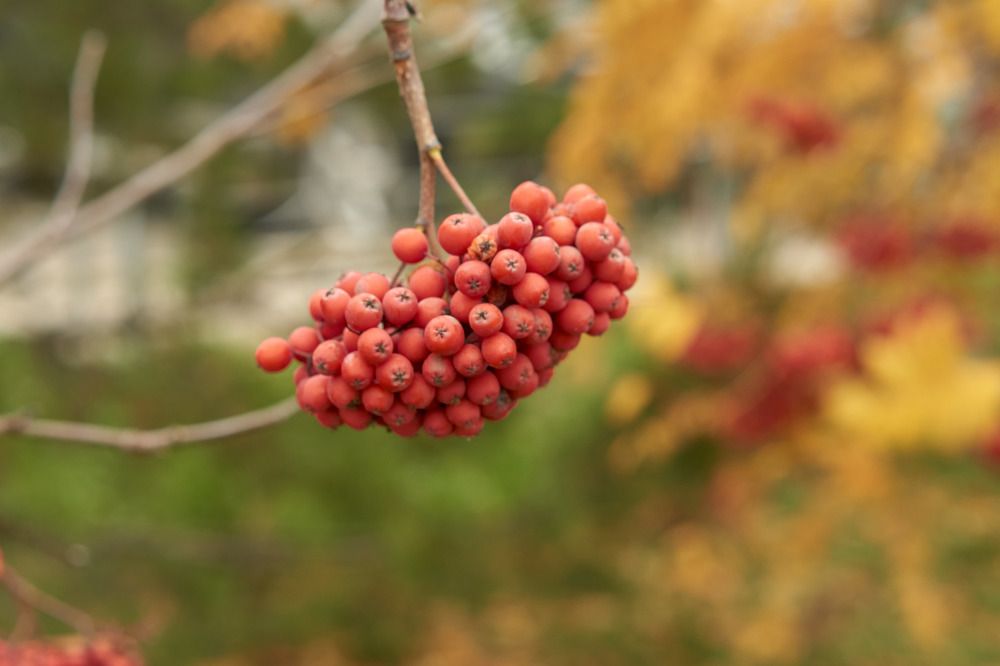 Photograph by Александр Пургин