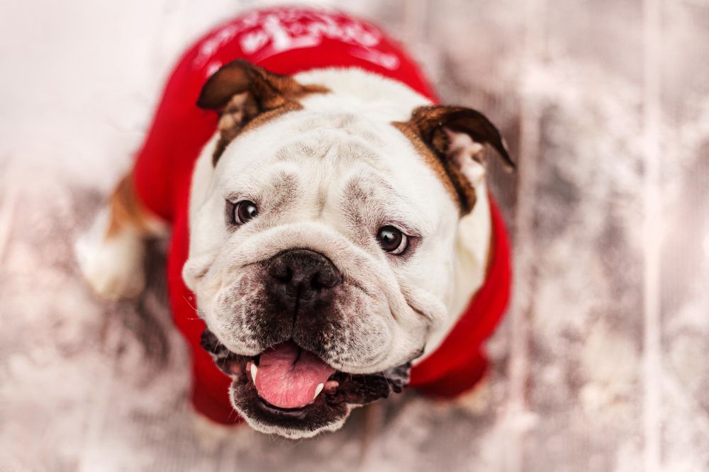 Photograph by Татьяна Степанова