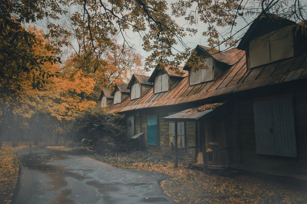 Photograph by Людмила Панова