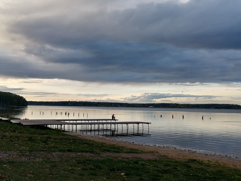 Фотография автора Елена Бракоренко