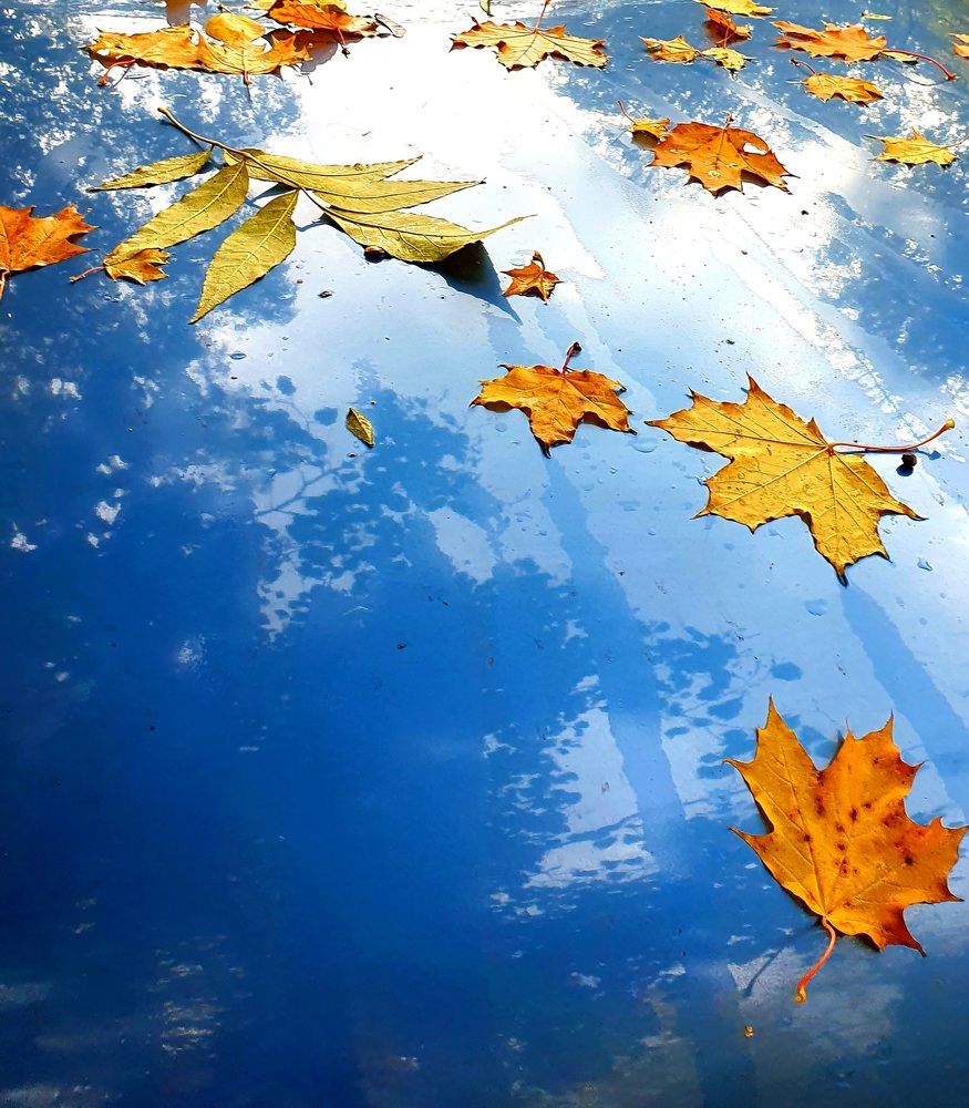 Photograph by Ева К