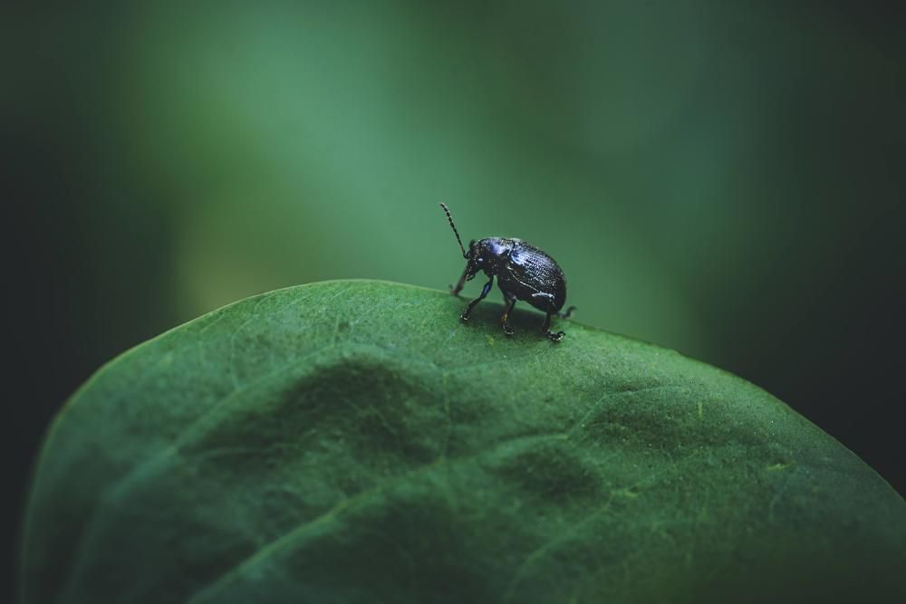 Фотография автора Helena