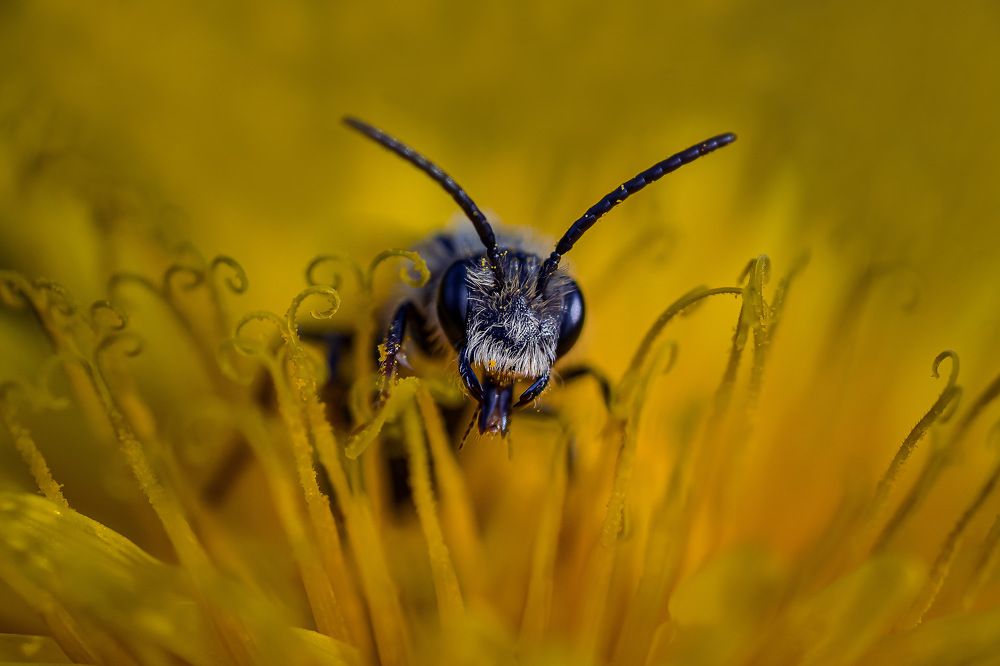 Фотография автора Helena
