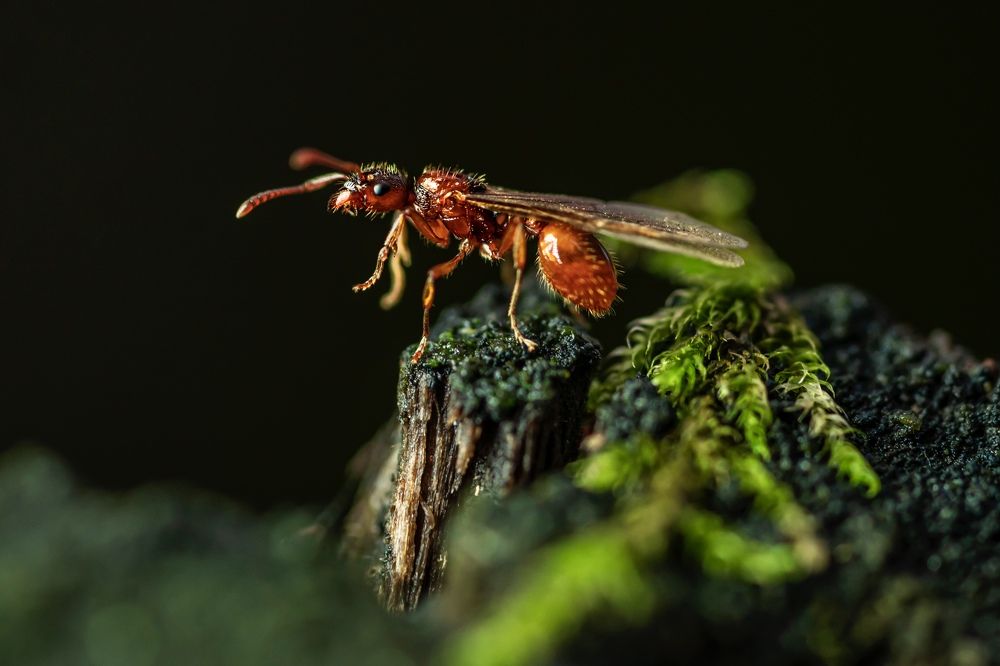 Фотография автора Helena