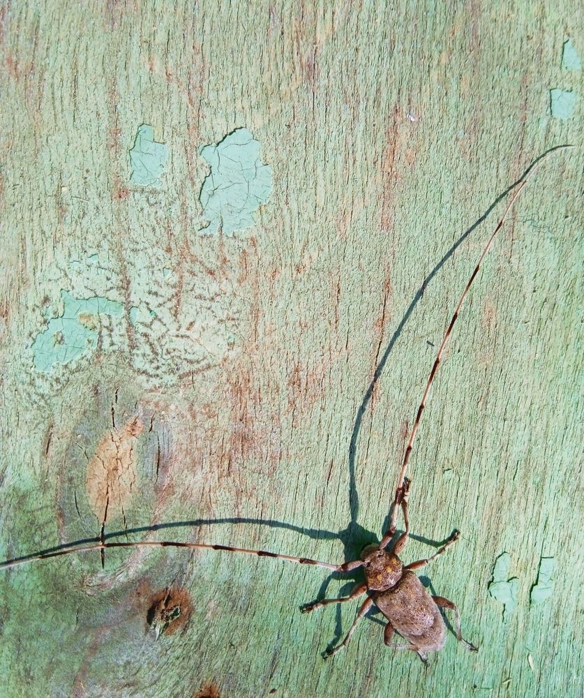 Photograph by Вероника Равзенкова