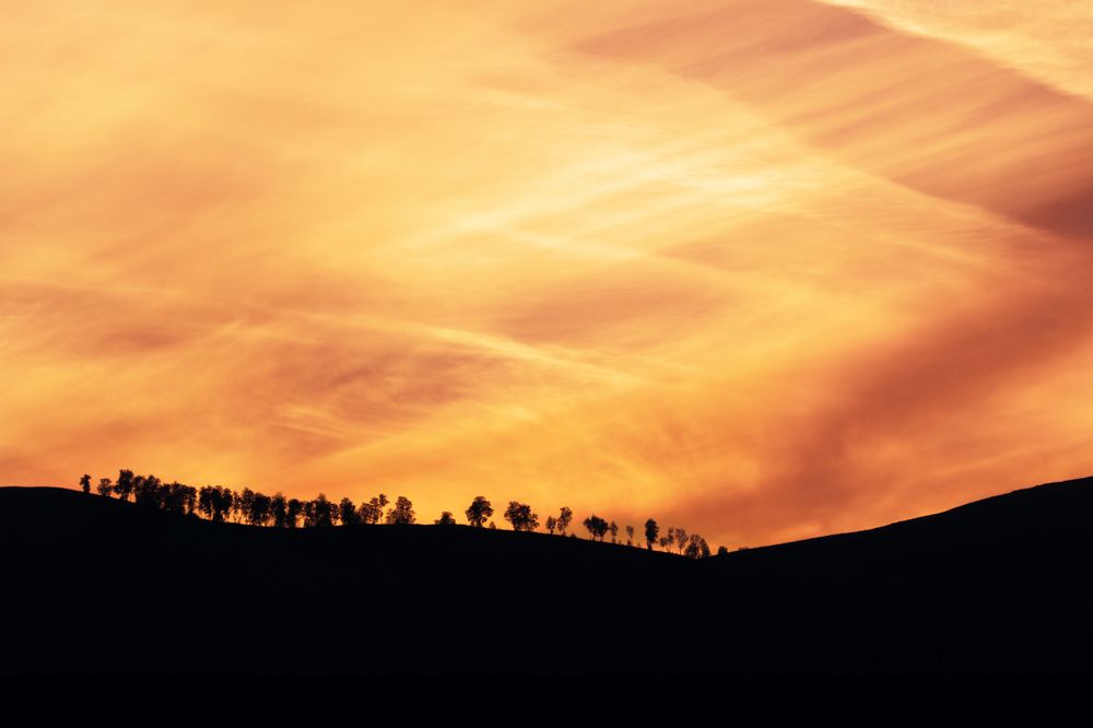 Photograph by Анна Майорова