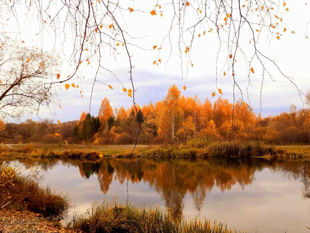 Photograph by Ирина Пичугина