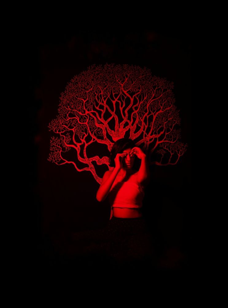 Photograph by shubham