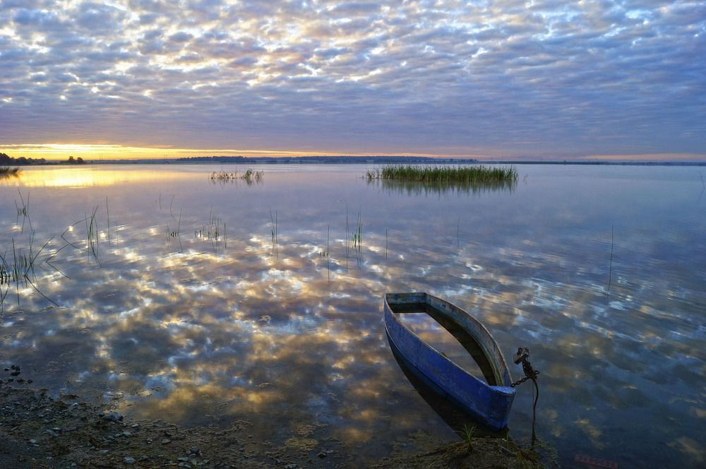 Photograph by Мишустина Татьяна