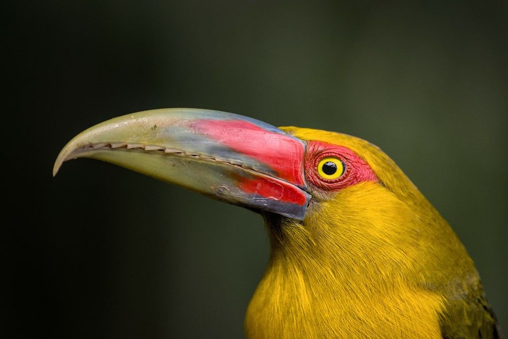 Photograph by Eduardo Bom