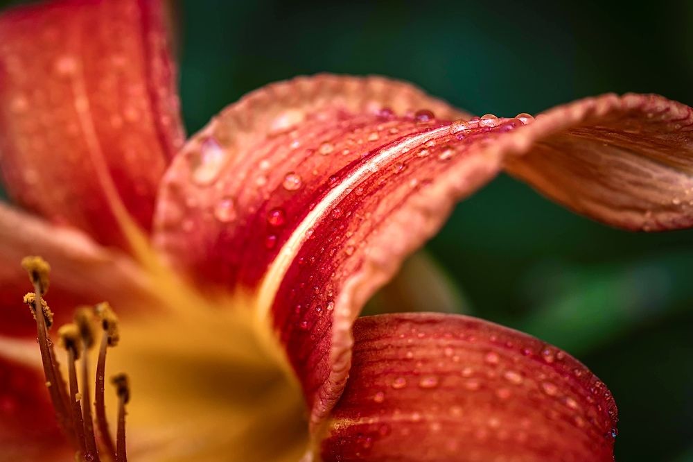 Фотография автора Helena