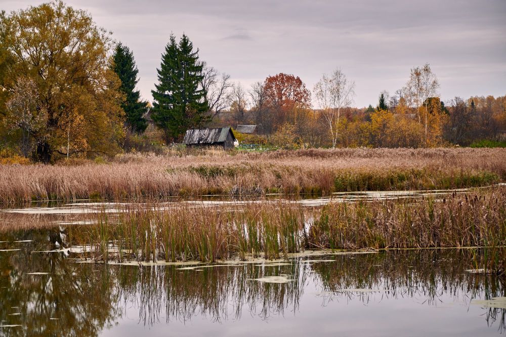 Photograph by Сергей Ветошкин