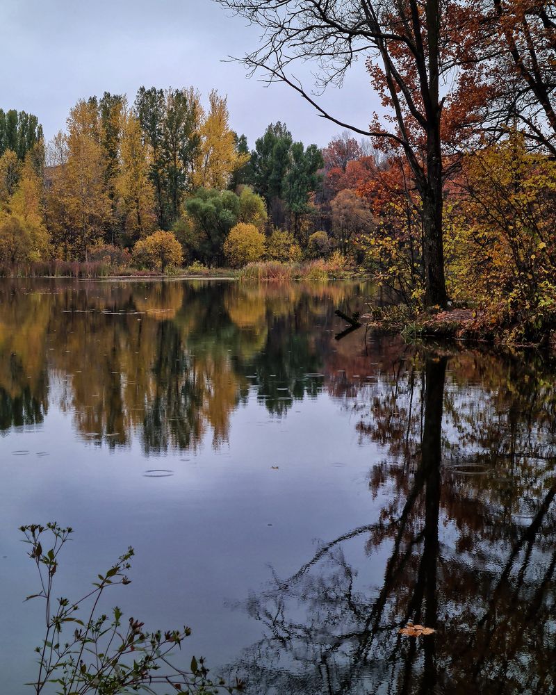 Photograph by Людмила Григорьева