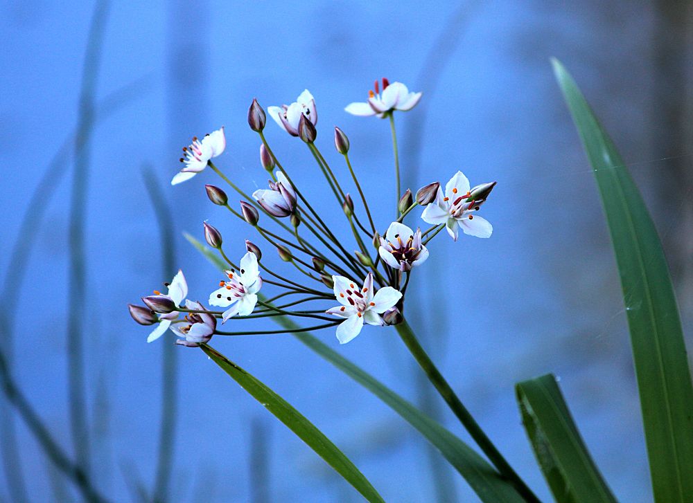 Photograph by Зоя Быкова