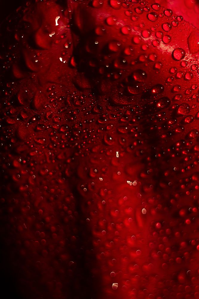 Photograph by Мария Стихарева