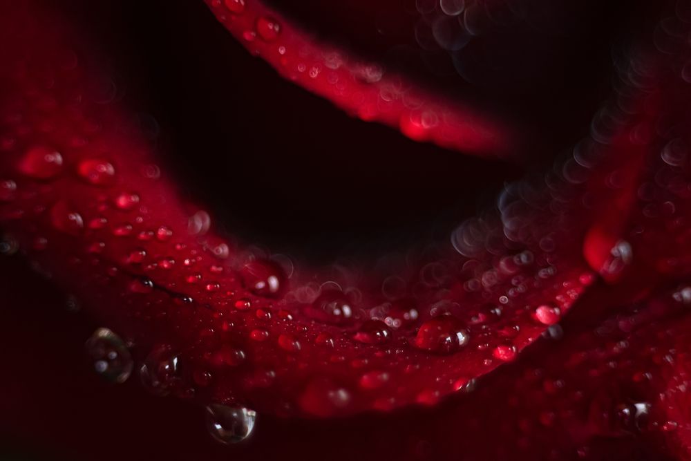 Photograph by Мария Стихарева