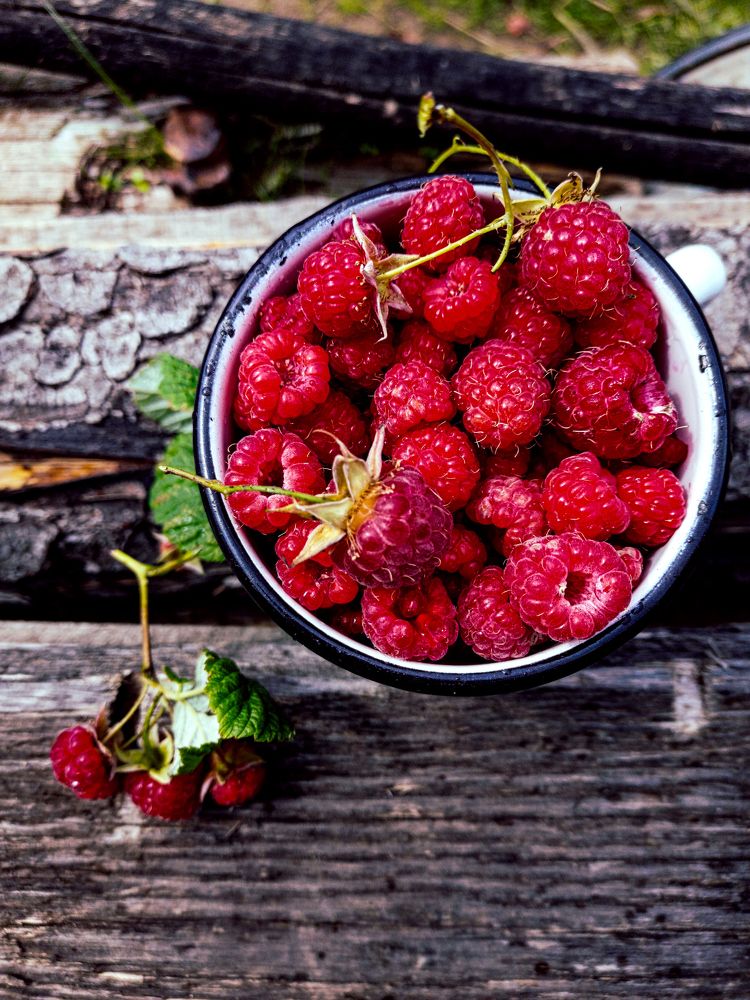 Photograph by Светлана Перминова