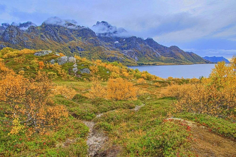 Фотография автора Сергей Довжик