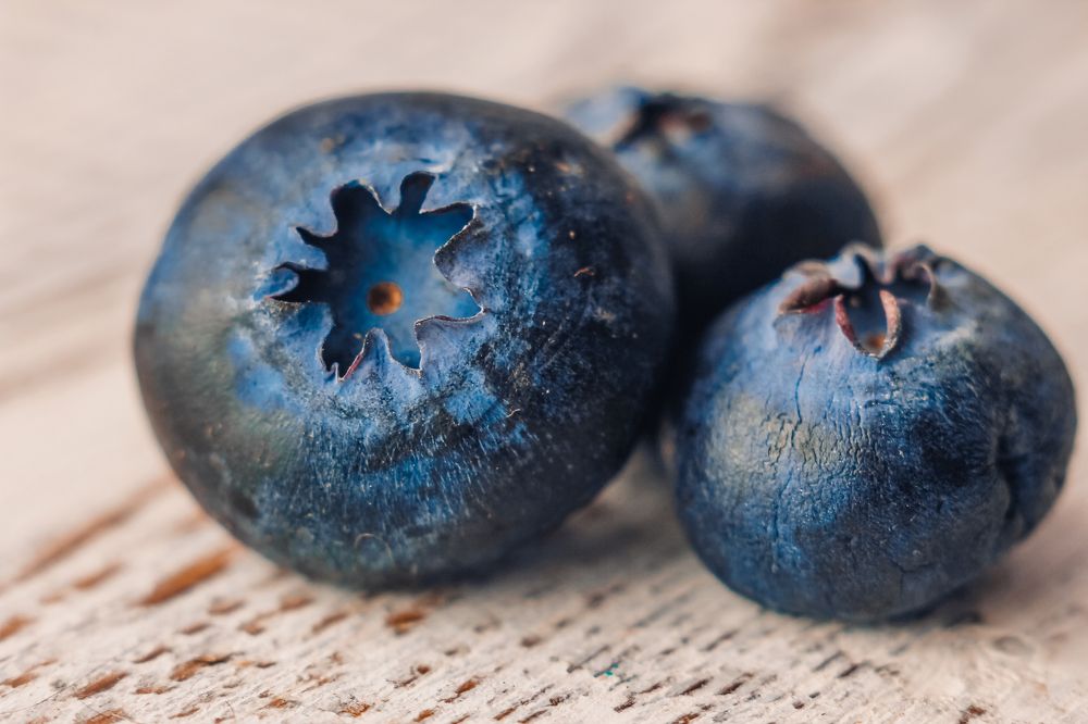 Photograph by Wrapper