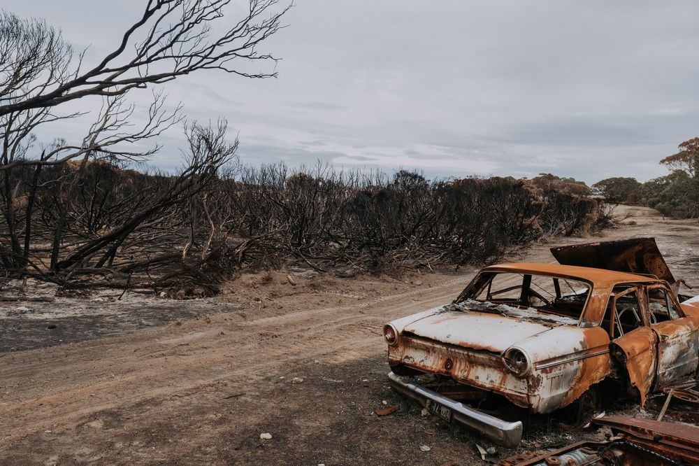 Photograph by Стоянова-Тимбукту Мария