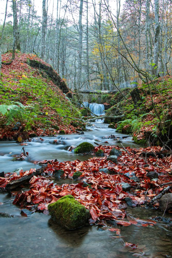 Photograph by Barış Çeker