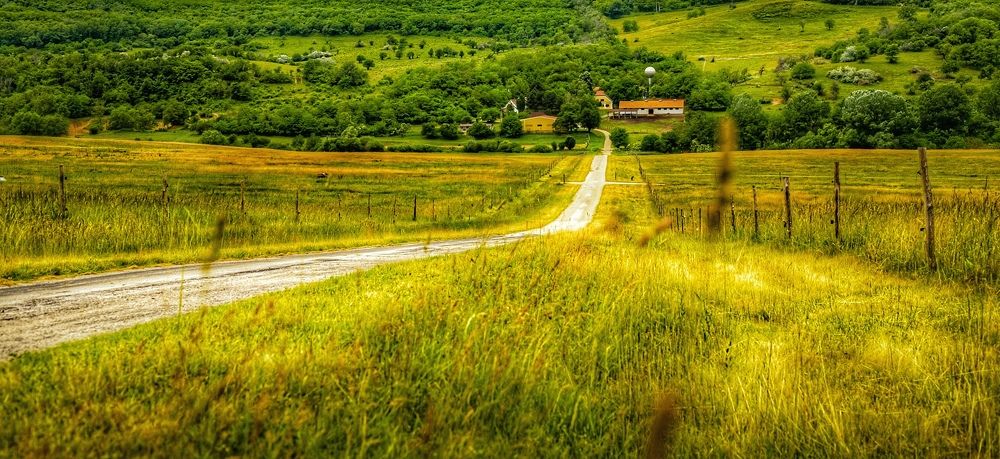 Фотография автора Nomin Jerabek