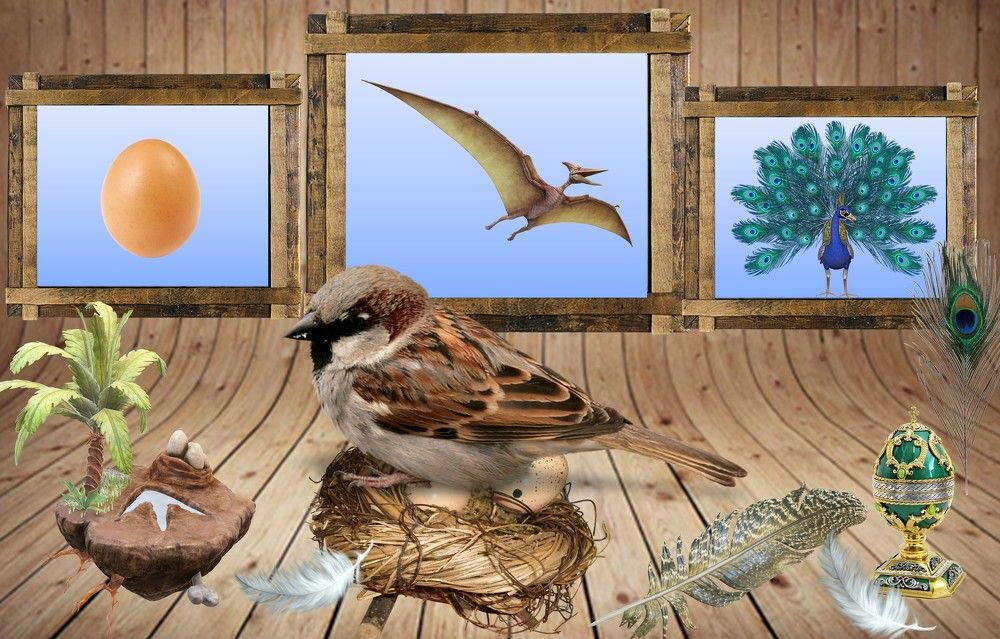 Photograph by Владимир Джерихов