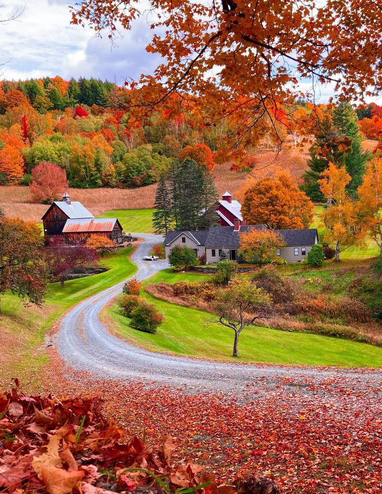 Photograph by Gargee Chowdhury