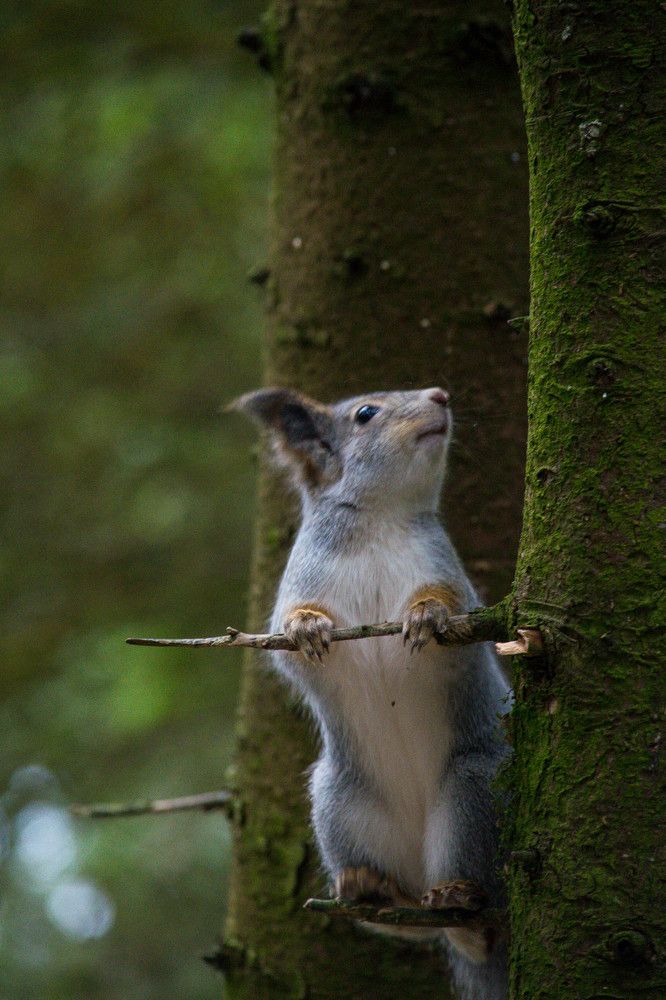 Photograph by Ирина