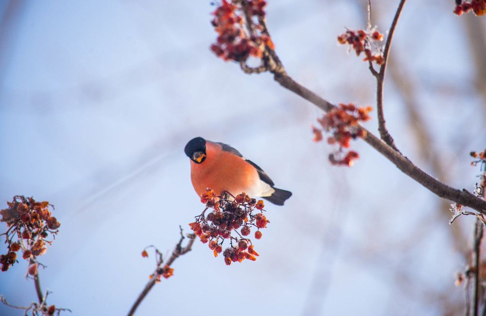 Photograph by Ирина