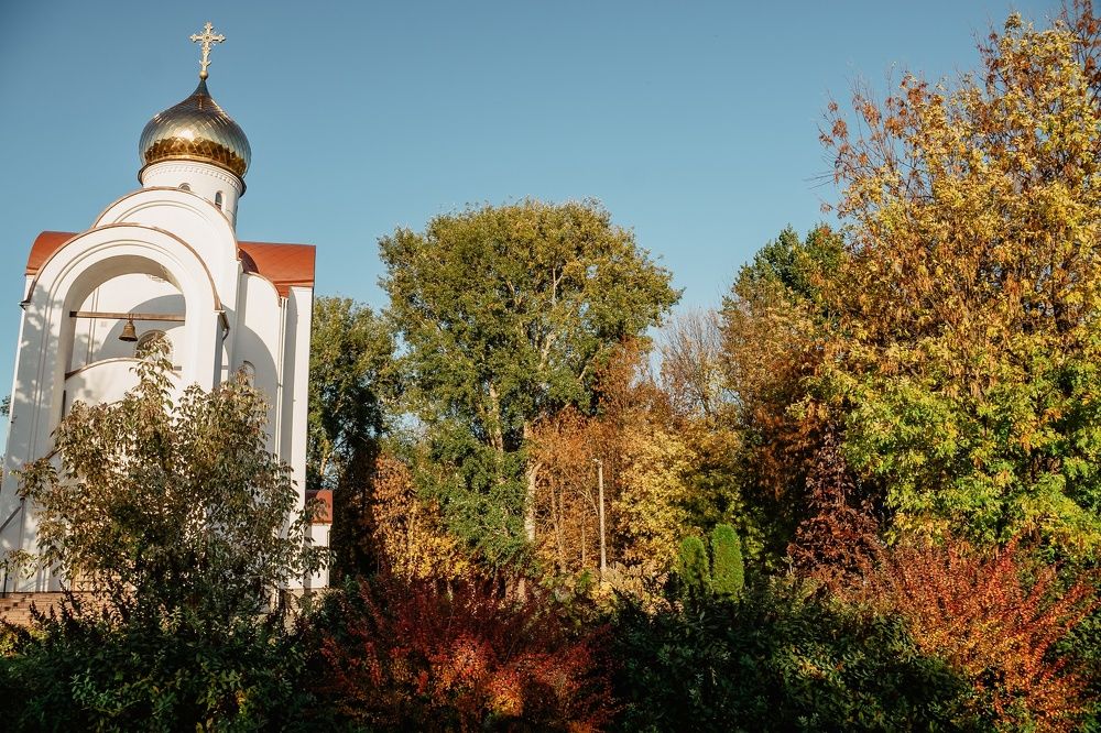 Фотография автора Александр Сенчуров