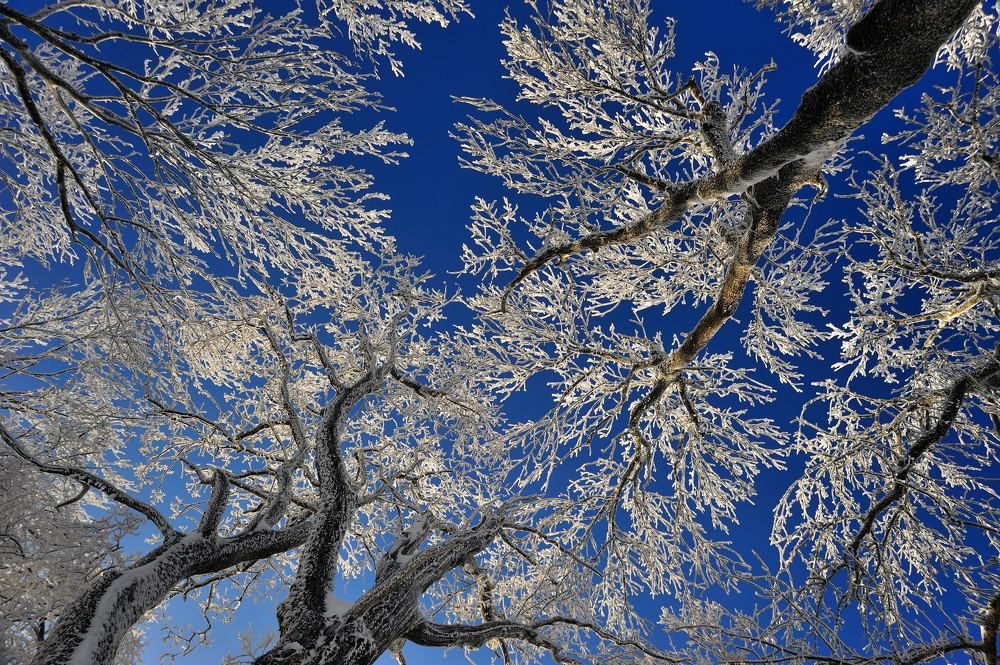 Photograph by Виктор Лагашев