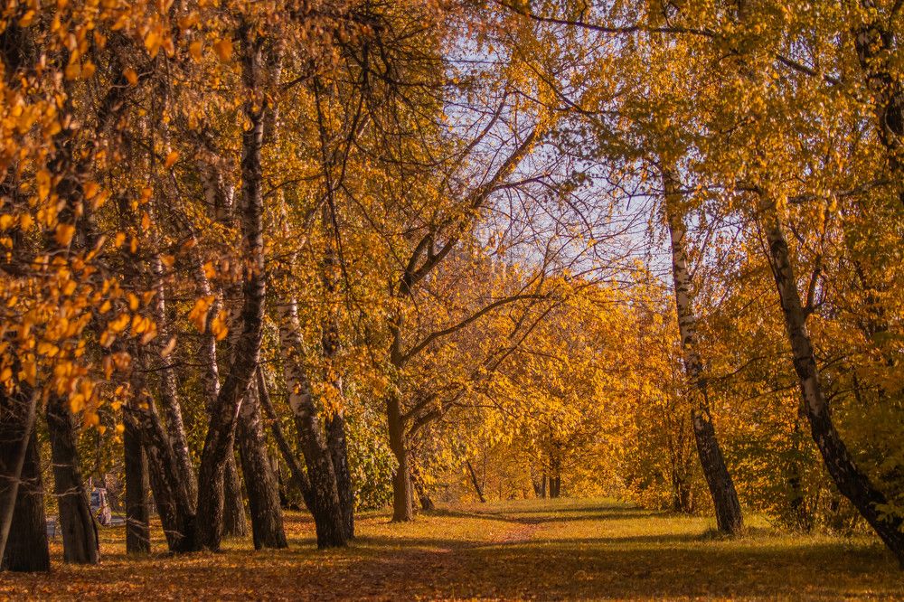 Photograph by Екатерина Воробьева