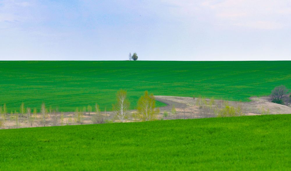 Фотография автора Ковяк Сергей Васильевич