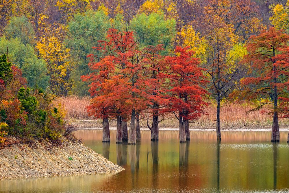 Photograph by Виктор Лагашев