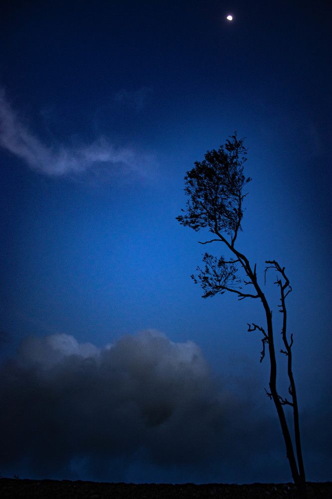 Photograph by Arnab Jana
