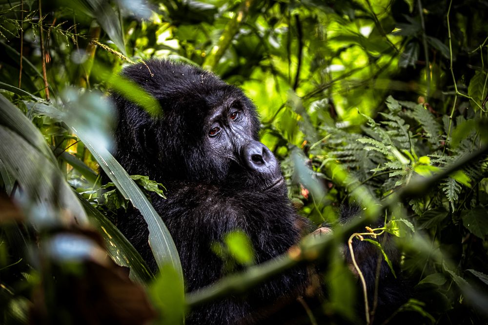 Photograph by Vita Potomova