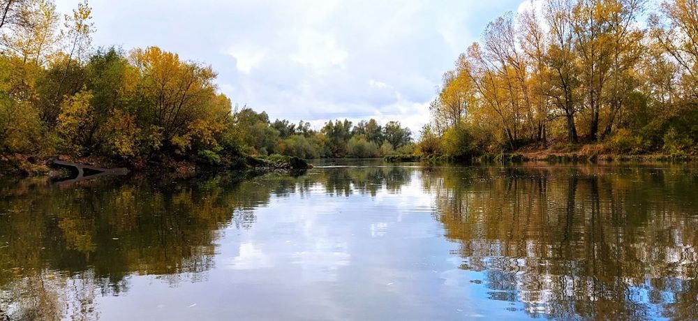 Фотография автора Веста Ягужинская